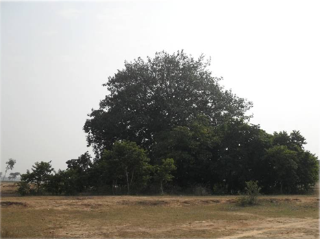 West Bengal – ecoheritage.cpreec.org