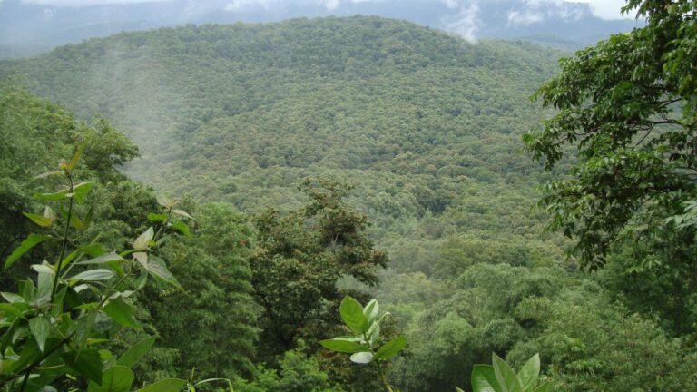 Anaimalai Hill – ecoheritage.cpreec.org