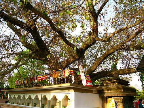 Sarnath – ecoheritage.cpreec.org